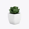 product-image-9_optimized Augue Neque